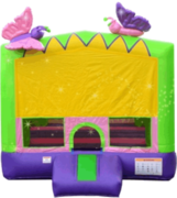 Butterfly 13x13 Bouncer Butterfly 13x13 Bouncer