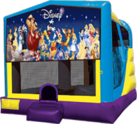World of Disney Large C4 Dry Combo with Slide & Basketball Hoop World of Disney Large C4 Dry Combo with Slide & Basketball Hoop