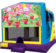 Strawberry Shortcake C4 Dry Combo with Slide & Basketball Hoop Strawberry Shortcake C4 Dry Combo with Slide & Basketball Hoop
